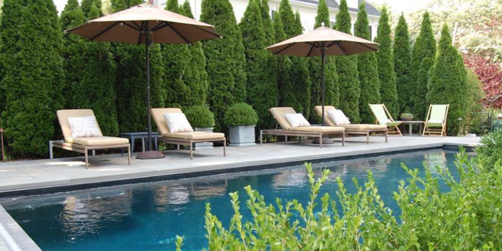 Every Pool Plant Ranked From WORST To BEST