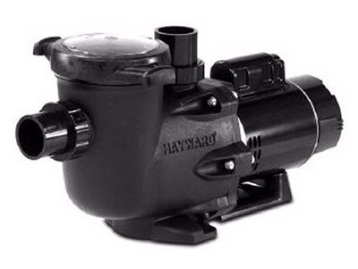 dual speed pool pumps