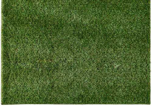 large outdoor turf carpet