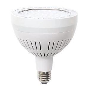 replacement pool light bulb