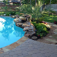 pool plants and trees